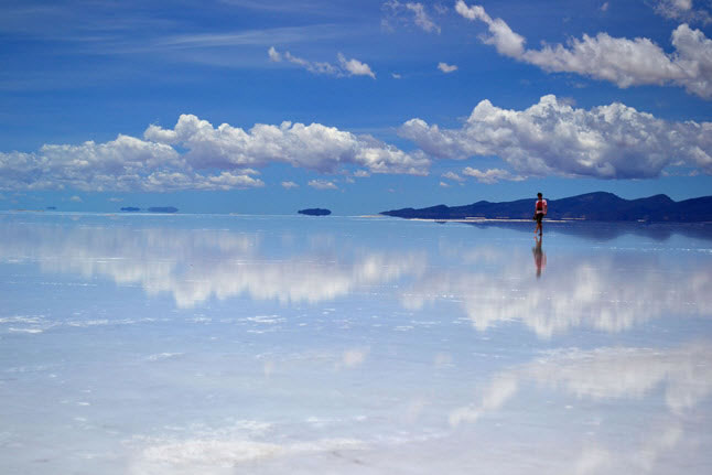 Uyuni rock tree.