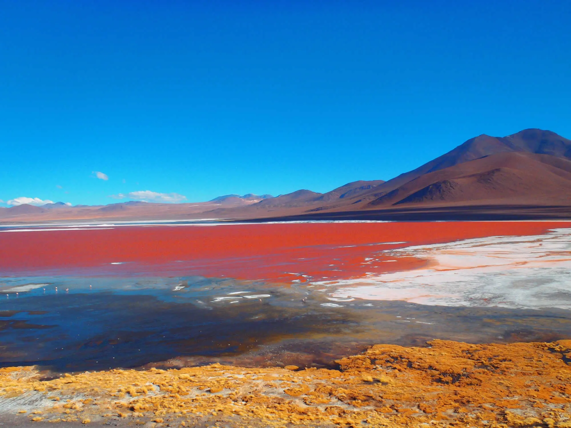Red Lagoon, Eduardo Avaroa Reserve, Uyuni, Bolivia