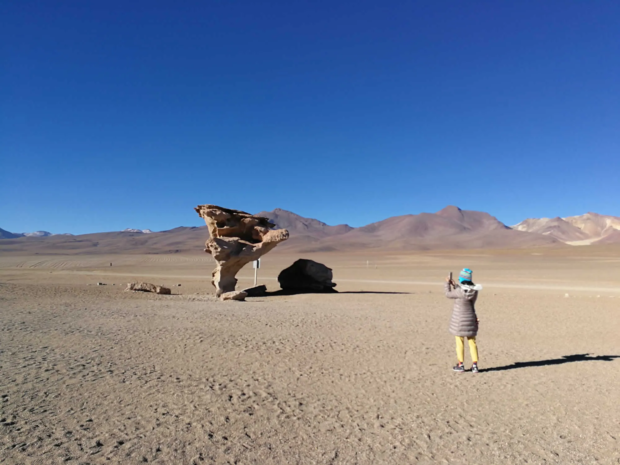 Stone Tree, Eduardo Avaroa Reserve, Uyuni, Bolivia