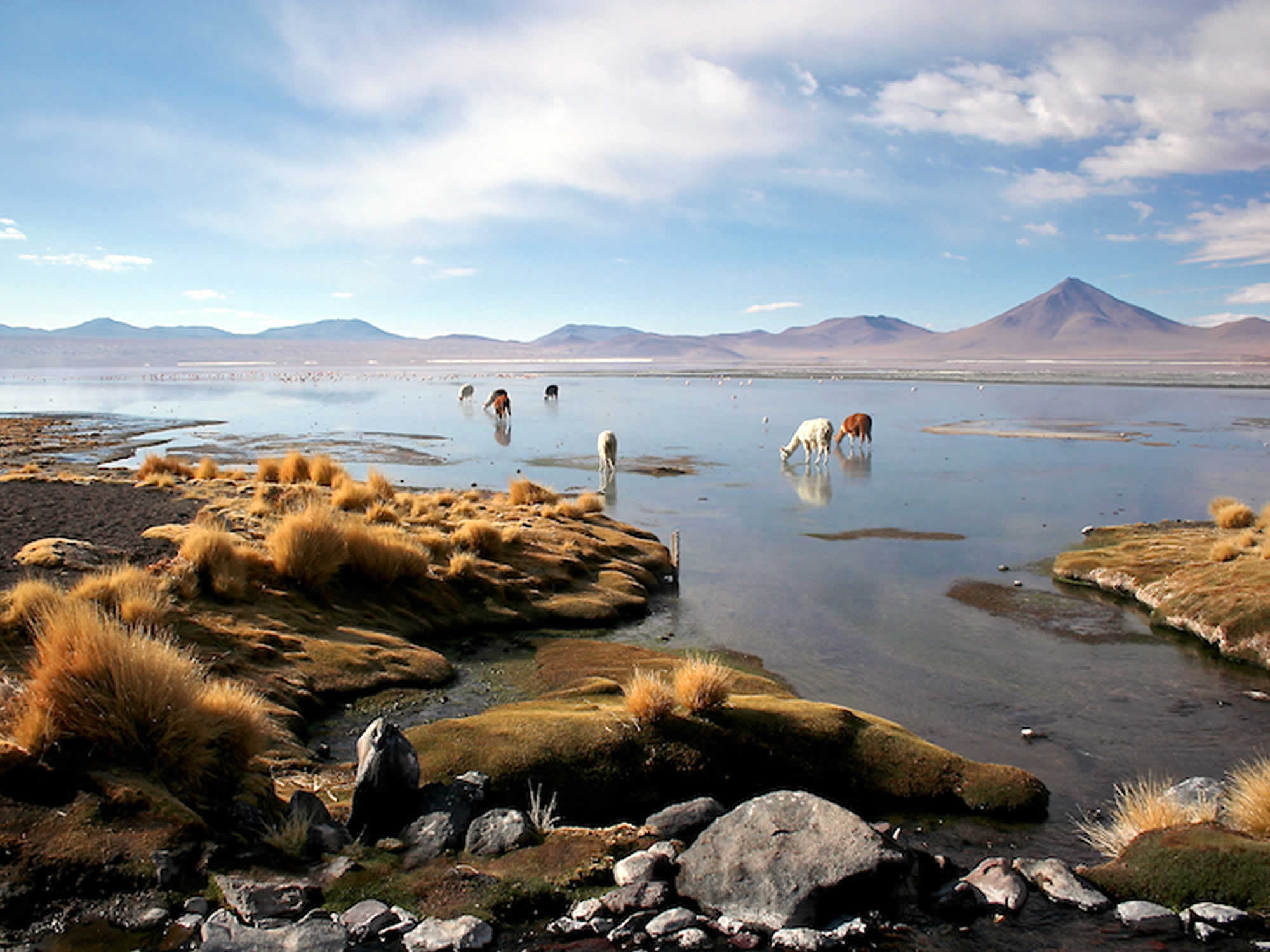Uyuni Salt Flat - Lagoons and San Pedro de Atacama (Chile), Salar de Uyuni tours, Uyuni