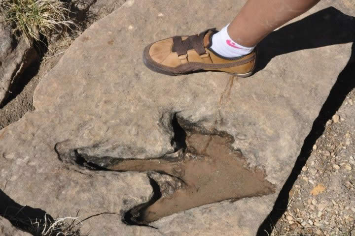 Toro Toro National Park Dinosaur Tracks
