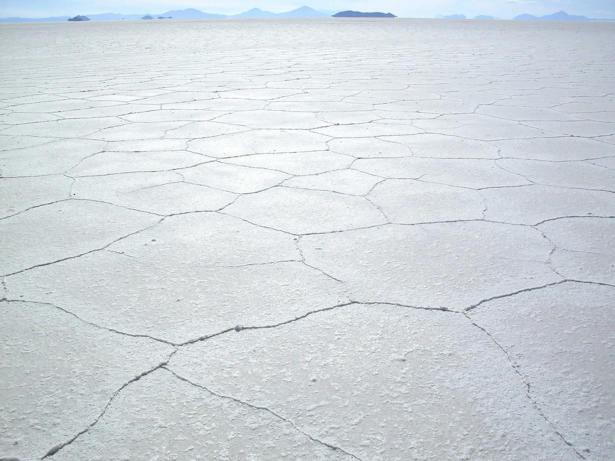 Uyuni Isla Incahuasi