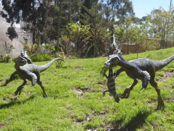 Sucre dinousaur