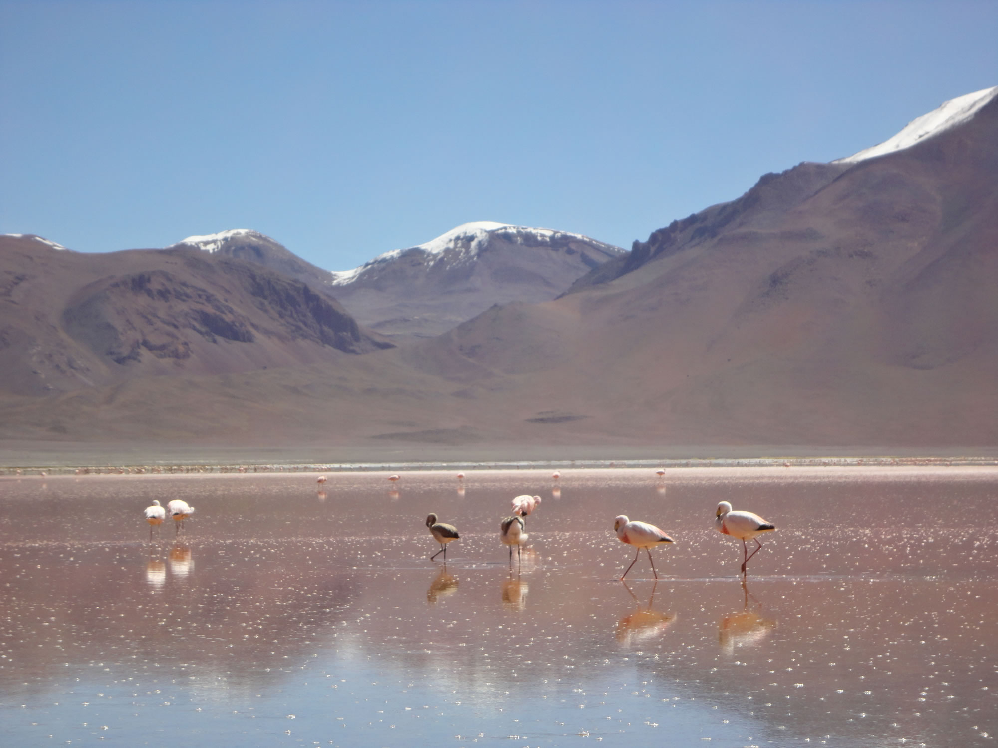 La Paz - Uyuni Salt Flat - La Paz Shared Tour by Plane, Uyuni