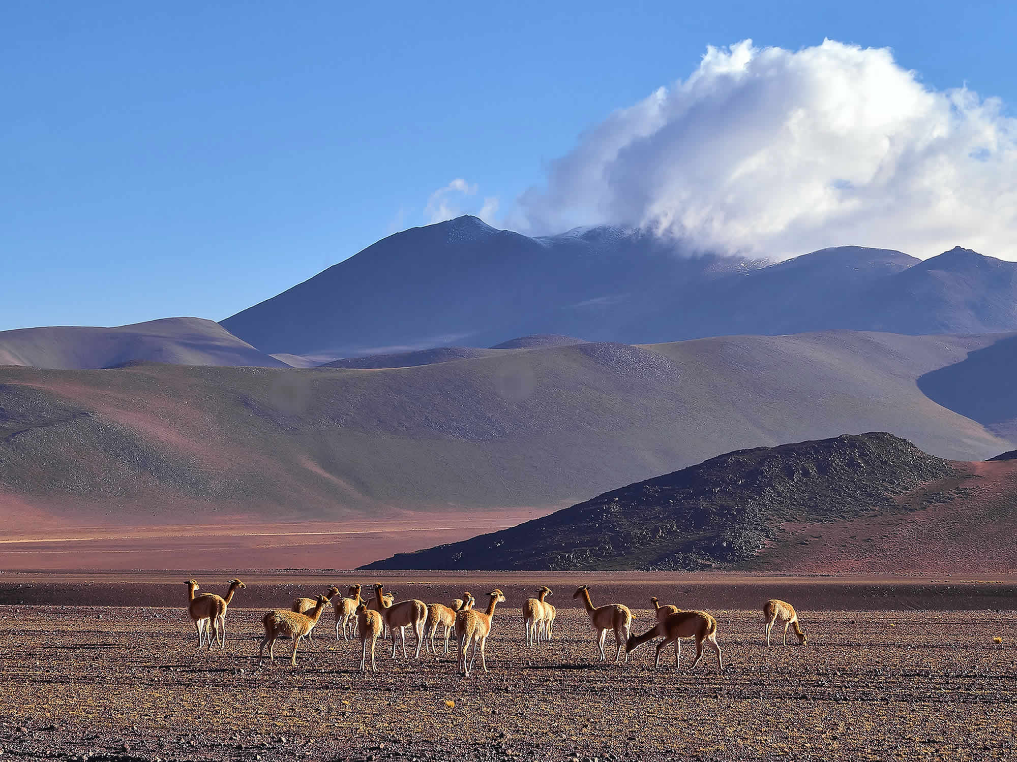 San Pedro de Atacama to Uyuni Shared Tour, Uyuni