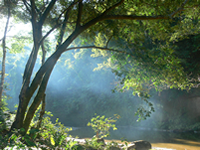 National Park Amboro