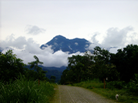 National Park Carrasco