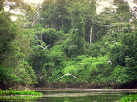 Lago Bay