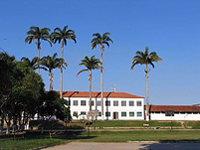 Loma Suarez