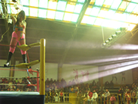 Lucha Libre