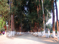 Tiquipaya