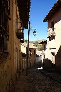Totora