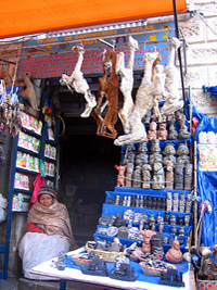 Mercado de Brujas