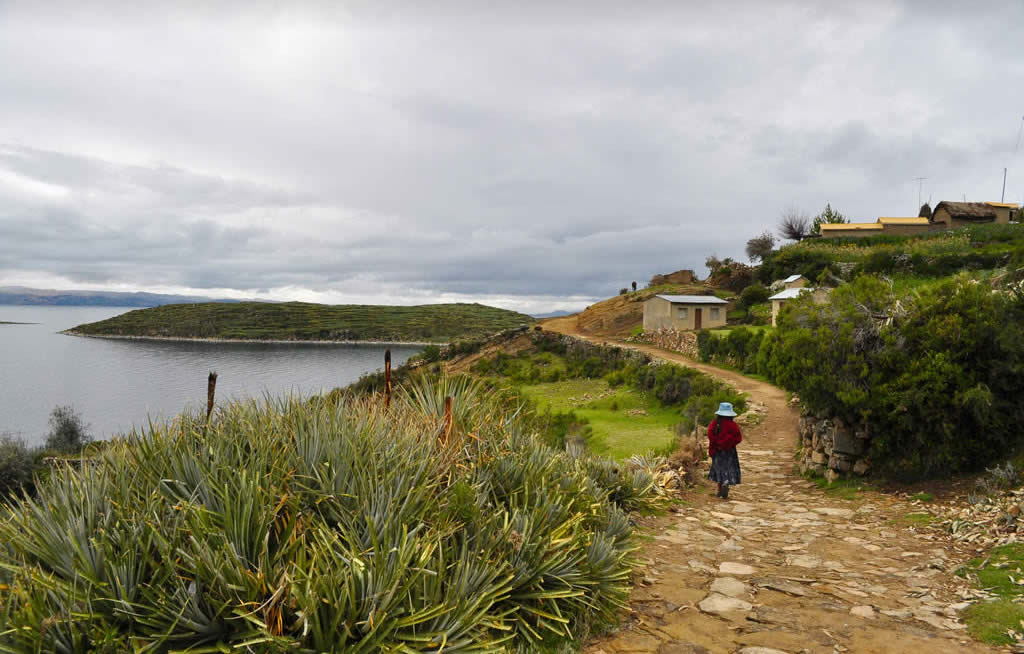 Copacabana - Isla del Sol