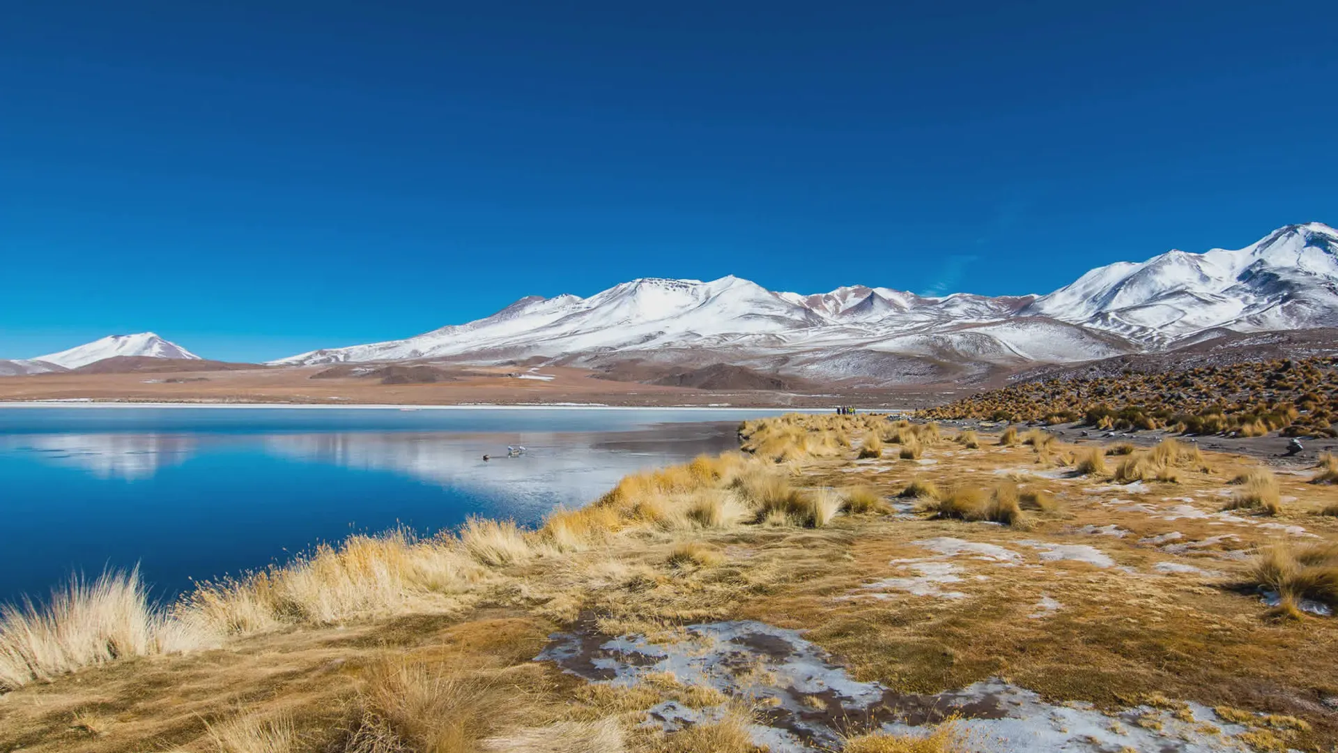 Cañapa Lagoon