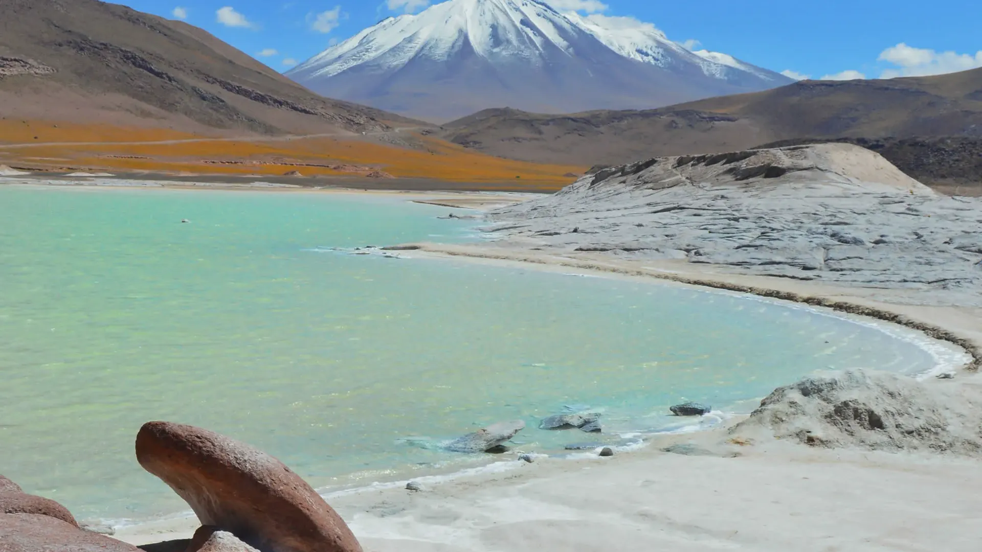 Green Lagoon