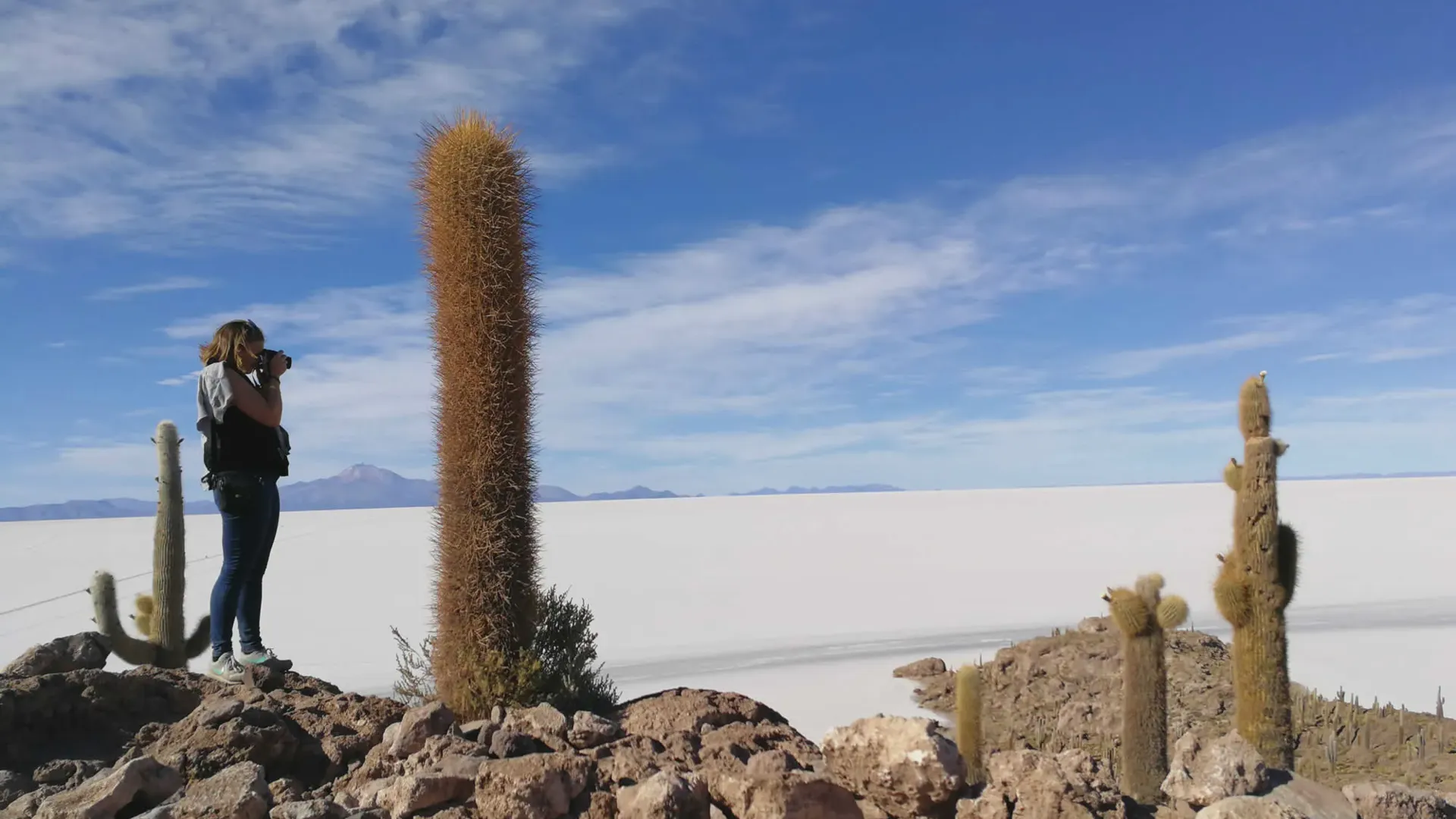 Incahuasi Island
