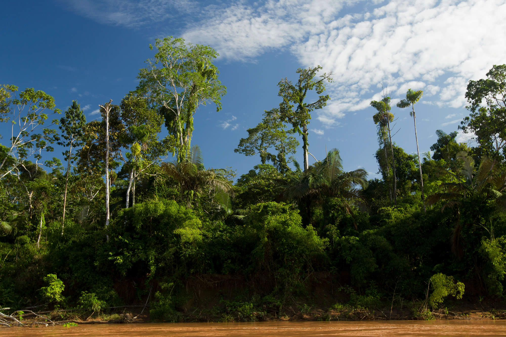 Madidi National Park 