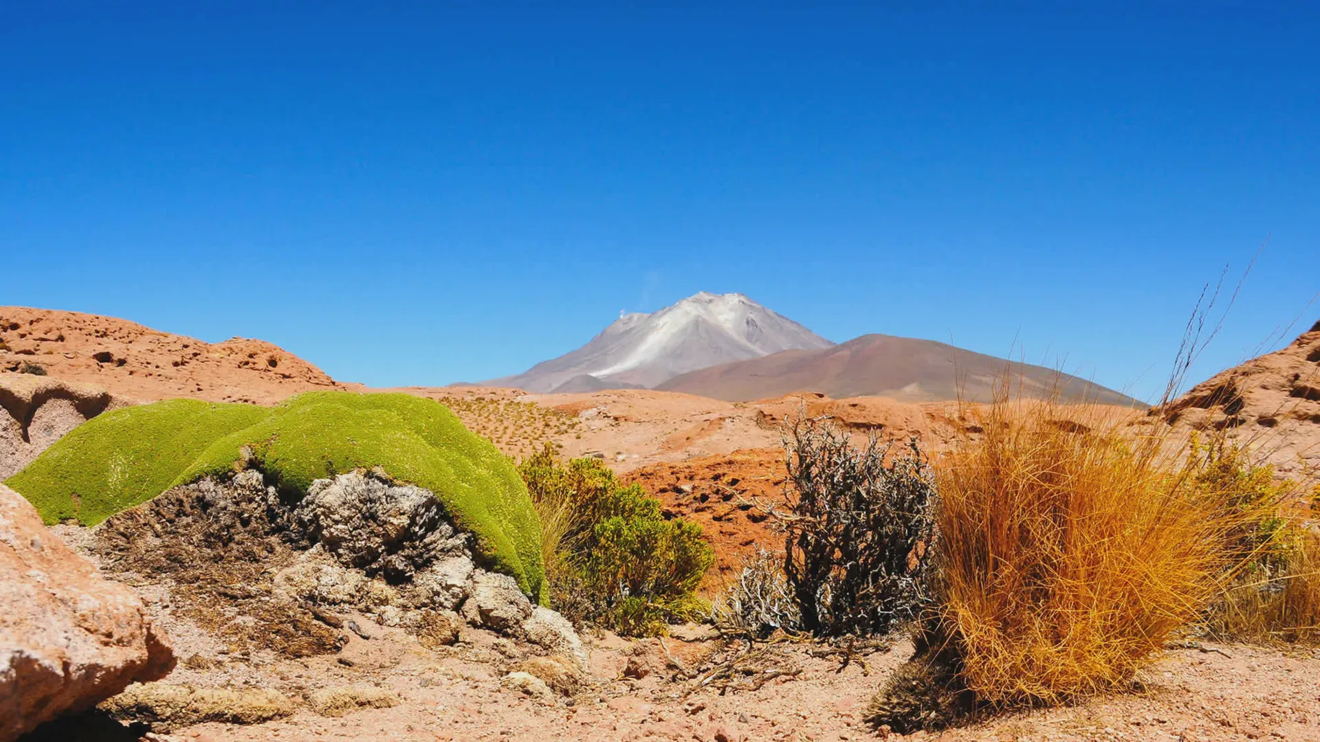 Ollague Volcano