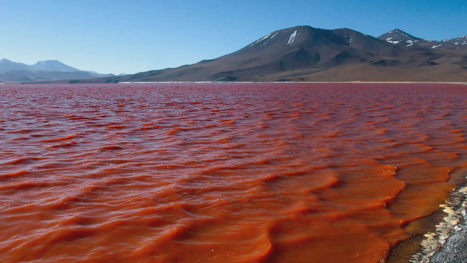 Red Lagoon