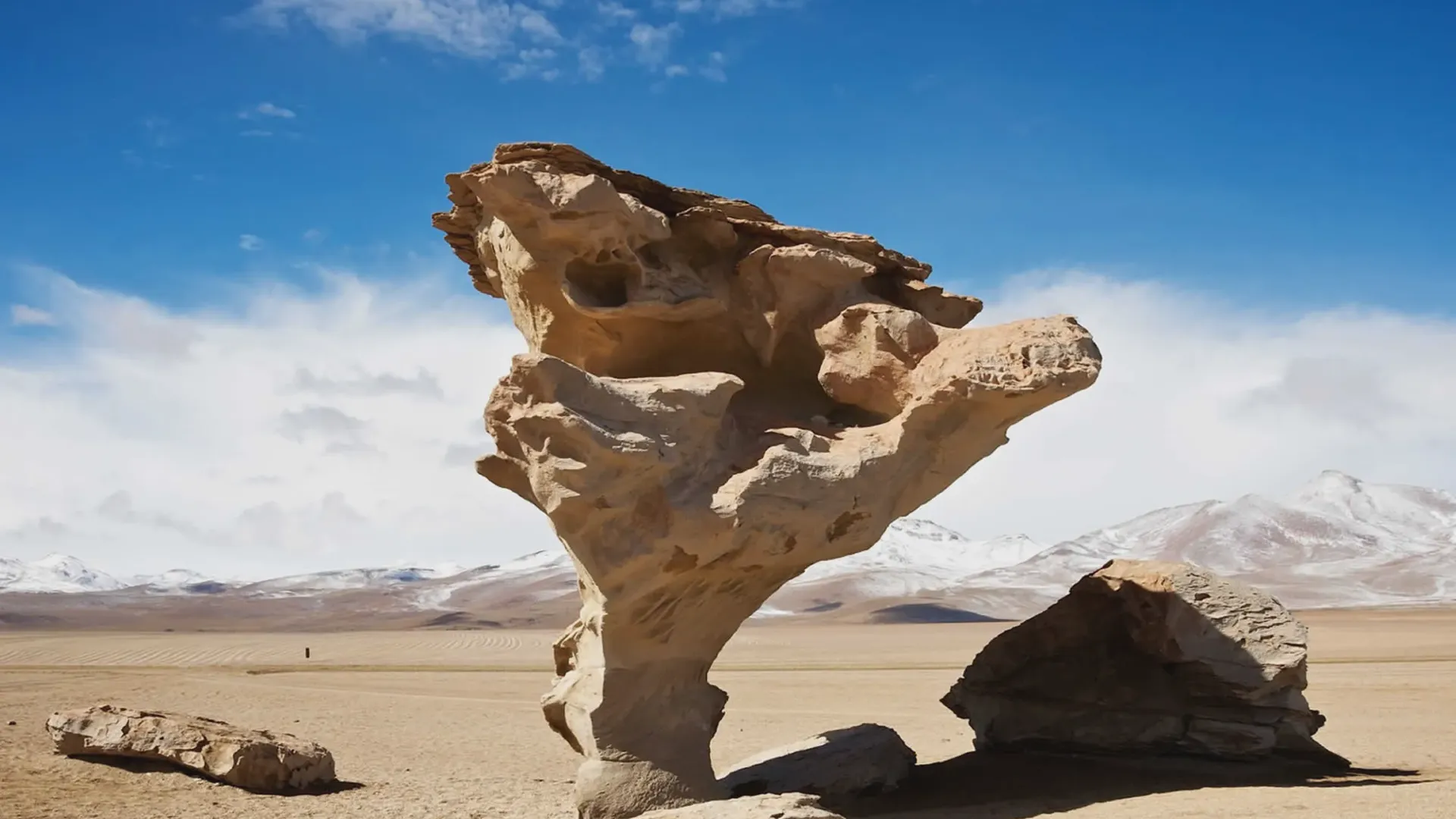 Rock Tree