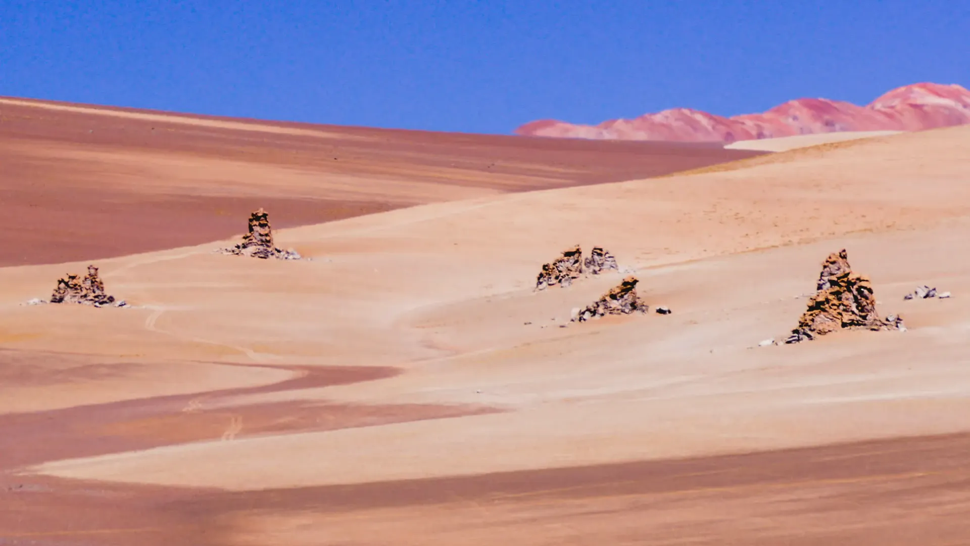 Salvador Dalí desert