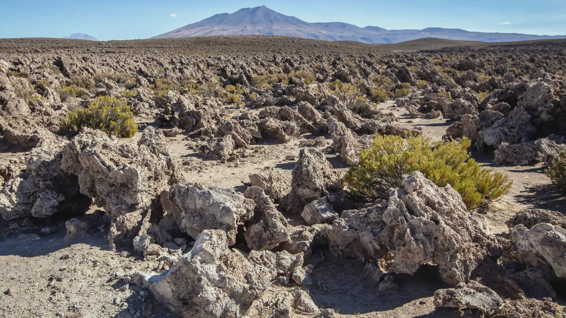 San Pedro de Atacama - Uyuni - Calama Private Tour